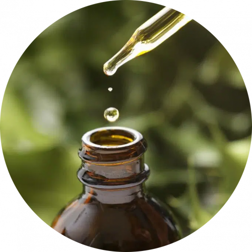 Ingredients-PNG_0005_vitamin-e Ingredients-PNG_0005_vitamin-e