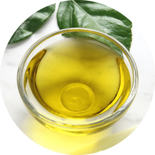 Ingredients-PNG_0020_moringa-2 Ingredients-PNG_0020_moringa-2
